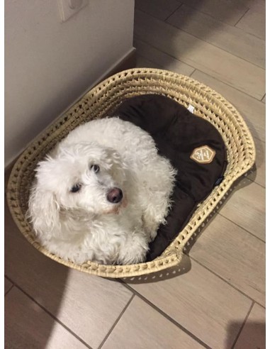 Panier Corbeille à CHIEN ou CHAT - Tressé  Main en Palmier - Pour animaux - ARTISANAL paille osier rotin meilleur choix