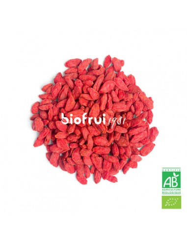 Biofrui 1981 -- Baie de goji du qinghai bio Vrac (origine Chine) - 5 kg Jusqu'à 80% De Réduction