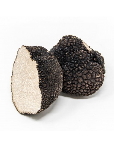 Truffe d’Été (Tuber Aestivum) soldes