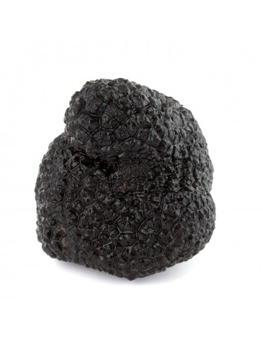 Truffe Noire Entière Extra basket pas cher